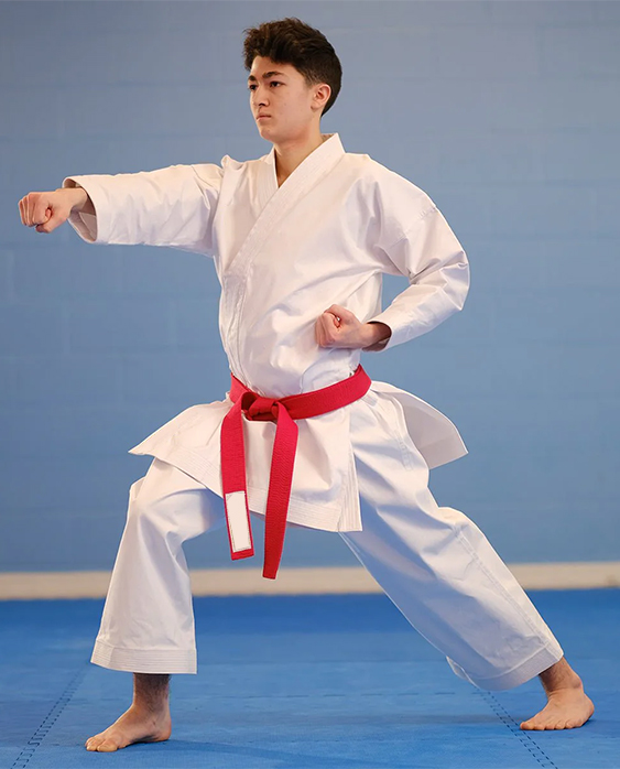 Traditional Martial Arts Uniforms (Gis)